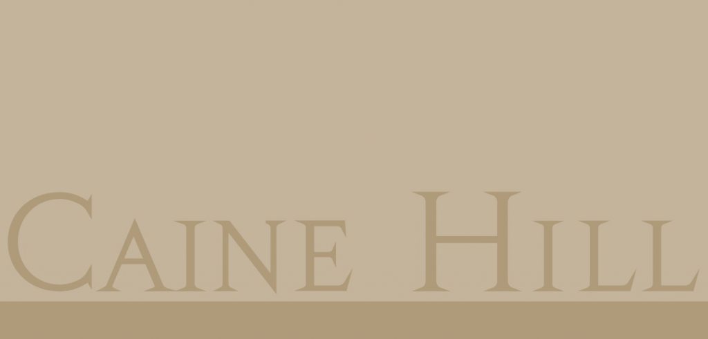 恒基地產旗下的上環CAINE HILL公布首張價單。首張價單涉及50伙,扣除3%付款折扣後,折實售價由542.327萬港元起,呎價由26,572元起。